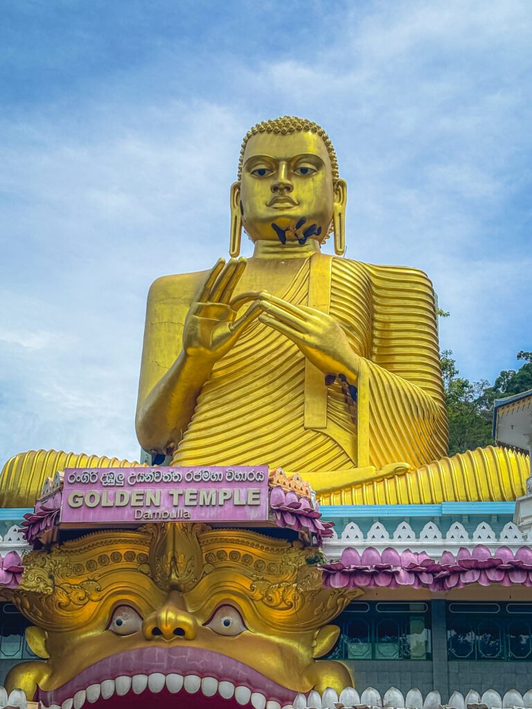 The golden buddha statue of Dambulla photographed from the entrance. The buddha statue has a number of bee hives attached to its face and arms. 